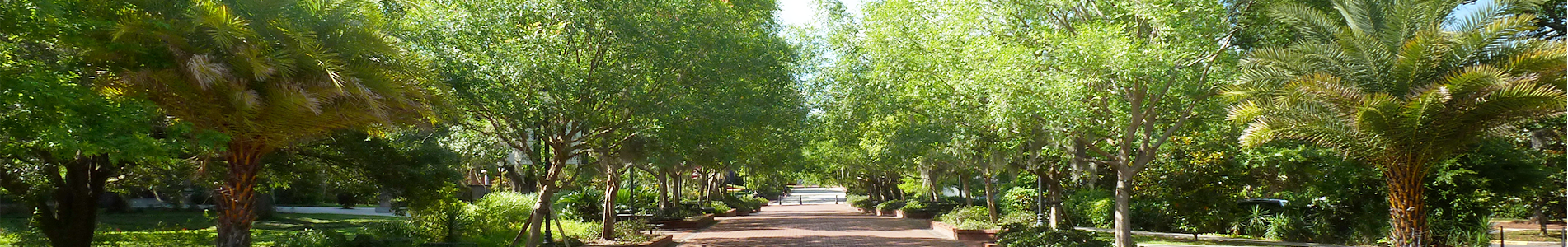 FSU Finance and Administration Policies and Procedures Banner